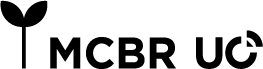 Logo Międzynarodowego Centrum Badawczo-Rozwojowego